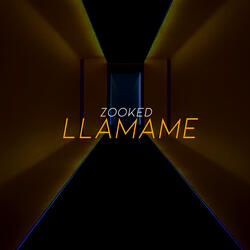 Llamame