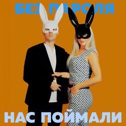Нас поймали