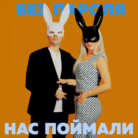 Нас поймали