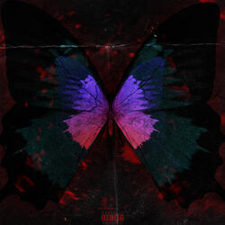 Ghostly Butterflies