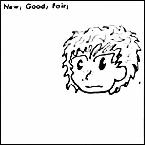 New Good Fair