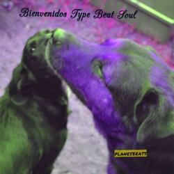 Bienvenidos Type Beat Soul