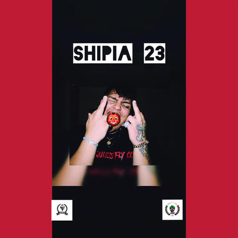 Shipia 23