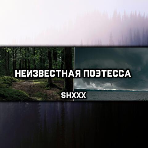 Неизвестная поэтесса