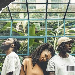 Banho de Folhas (ft. DJ Nyack & Zudizilla)