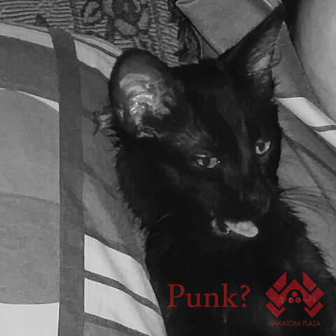Punk?