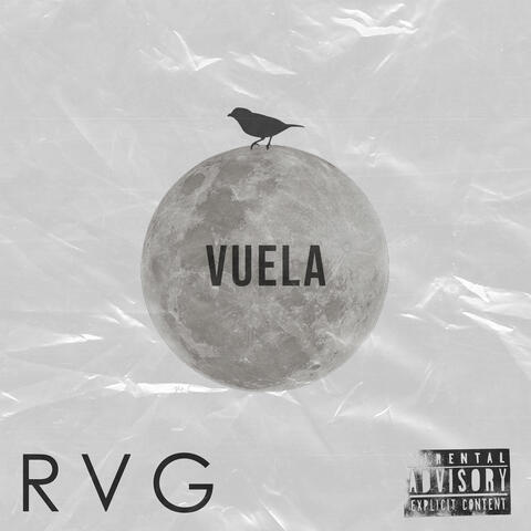Vuela