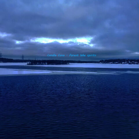 Forest Lake Spirits
