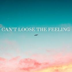 Can´t Loose the Feeling