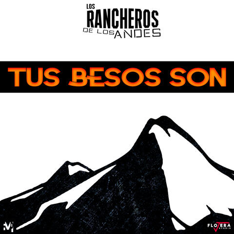 Tus Besos Son