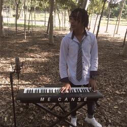 Me Cansé