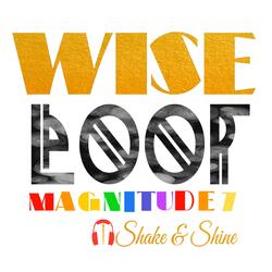Wisefool
