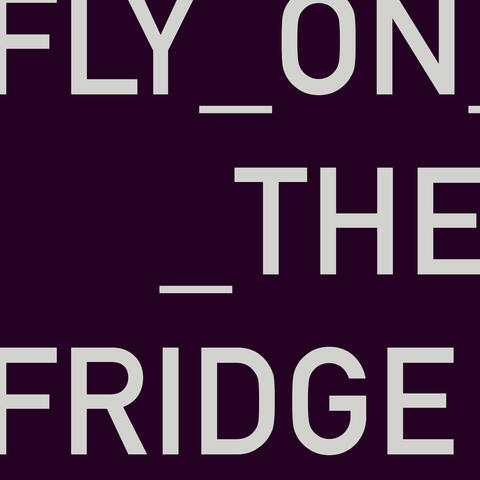 Fly on the Fridge