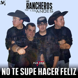 No Te Supe Hacer Feliz