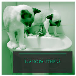 I Don't Know If I Am Happy