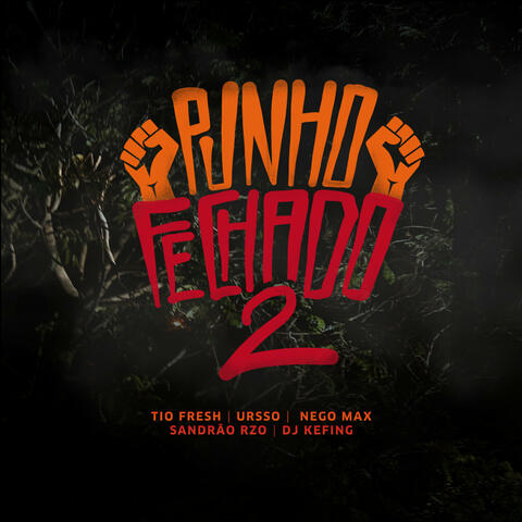 Punho Fechado 2