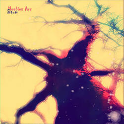 Baum