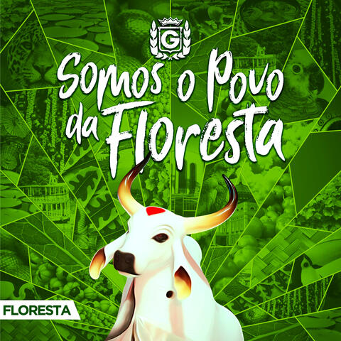 Somos o Povo da Floresta: Floresta