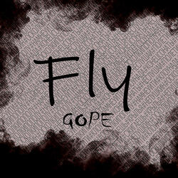Fly