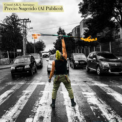 Precio Sugerido ( al Publico )