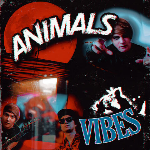 Animals Vibes