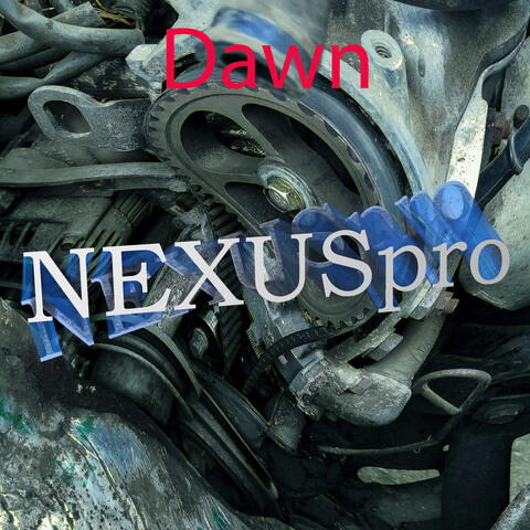Dawn