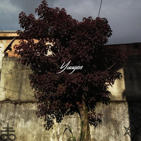Yuugen