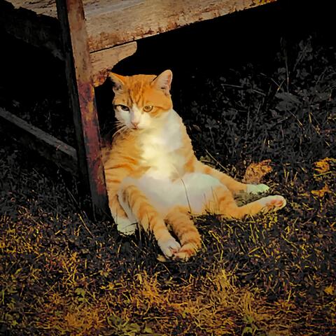 Just Chillin'