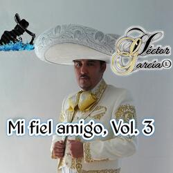 Mi Fiel Amigo, Vol. 3