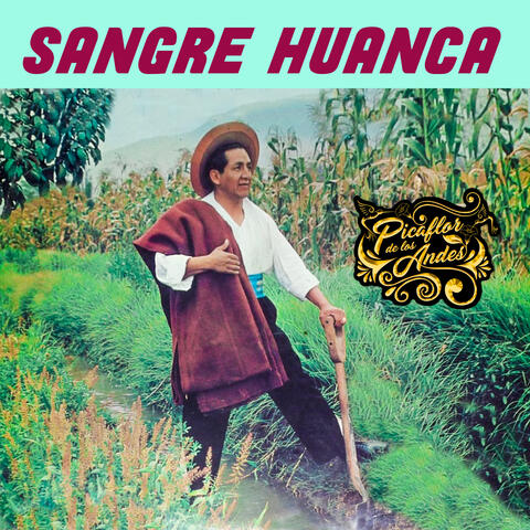 Sangre Huanca