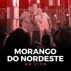 Morango do Nordeste