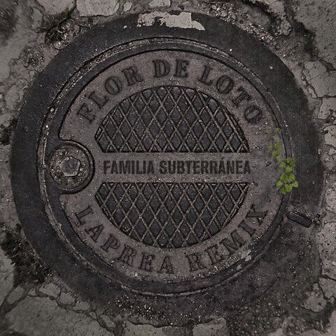 Flor de Loto