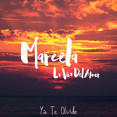 Ya Te Olvide