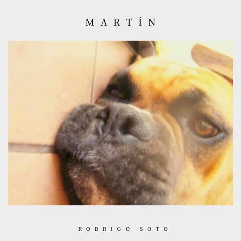Martín