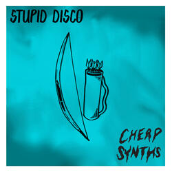 Stupid Disco