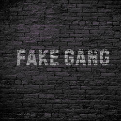 Fake Gang
