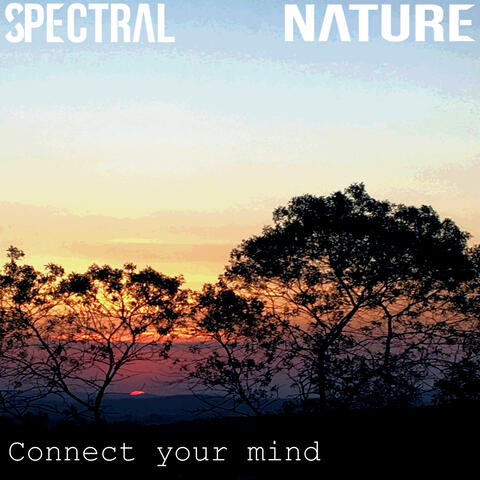 Connect Your Mind