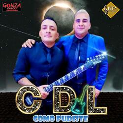 Como Pudiste