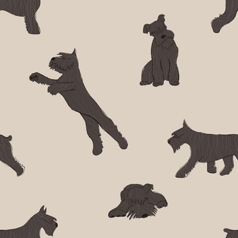 Mini Schnauzers
