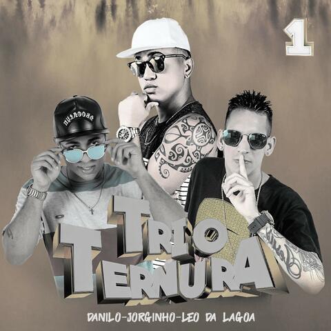 Trio Ternura Formação 1