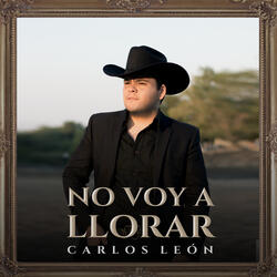 No Voy a Llorar