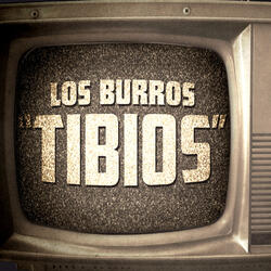 Tibios