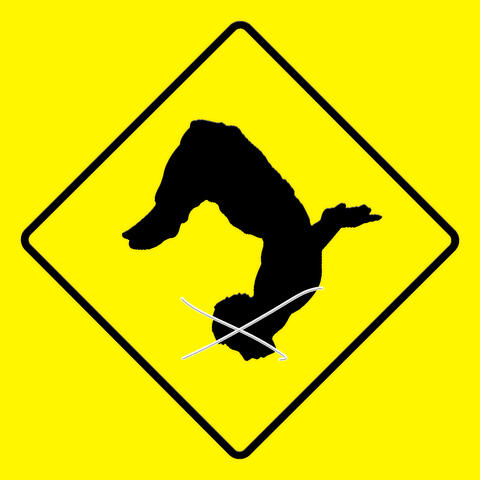 Free Fall