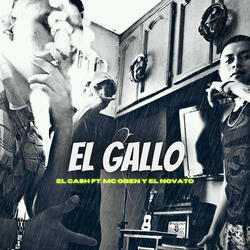 El Gallo