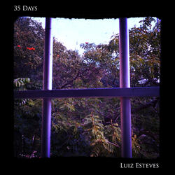 35 Days (Piano with Synth Improvisation)
