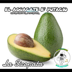 El Aguacate Es Potacio