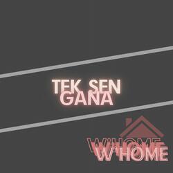 Teksengana