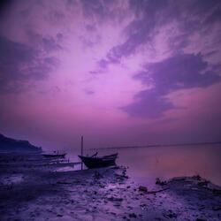 Purple Sea