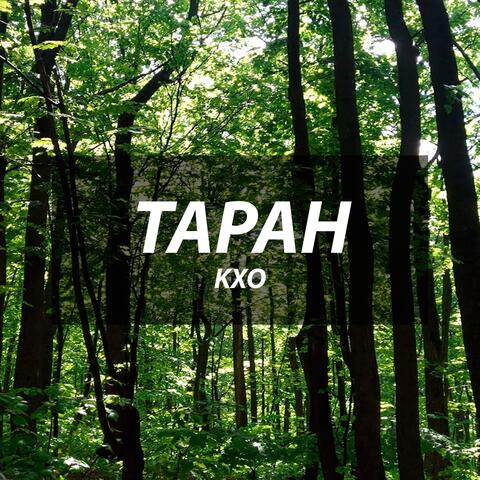 Таран