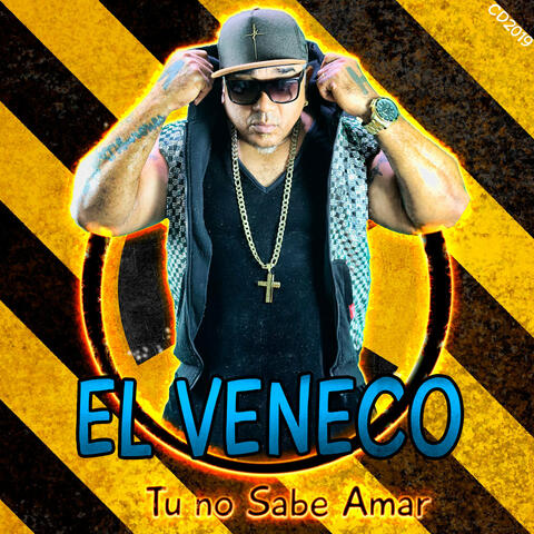 Tu no Sabe Amar